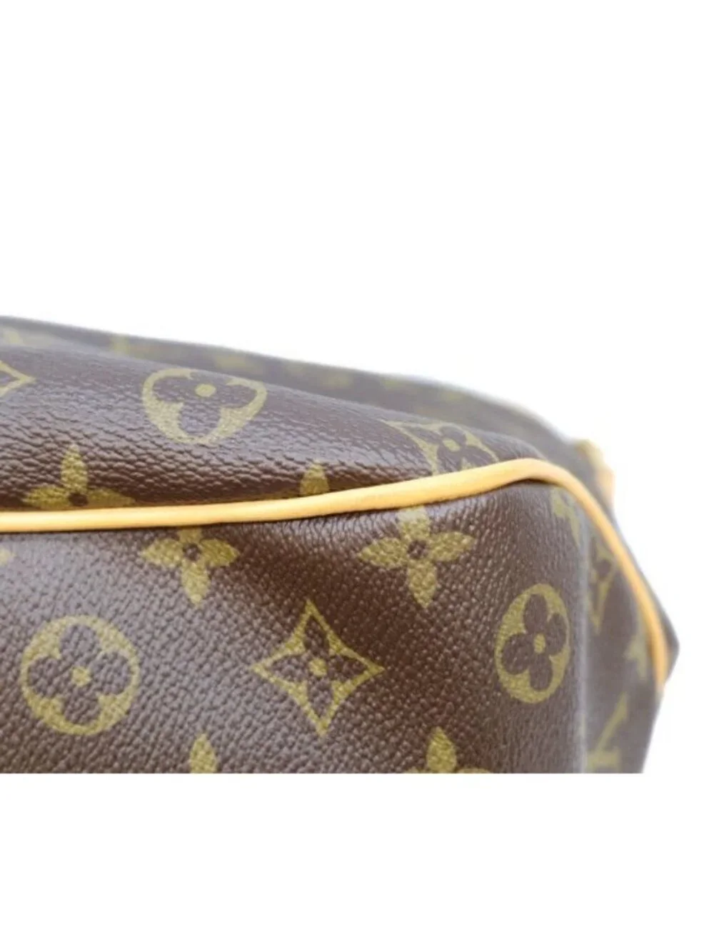 Louis Vuitton Monogram Brown Delightful PM Handbag